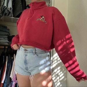 Vintage Disneyland 1/4 Zip